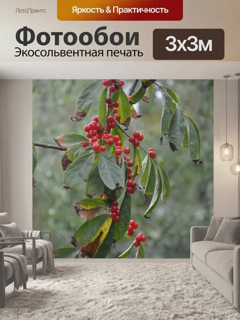 Фотообои Осенние ягоды