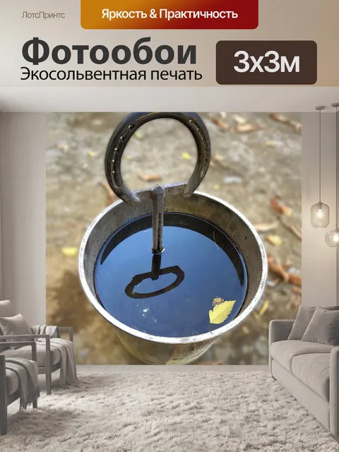 Фотообои Тюлень