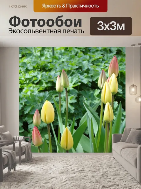 Фотообои Тюльпаны