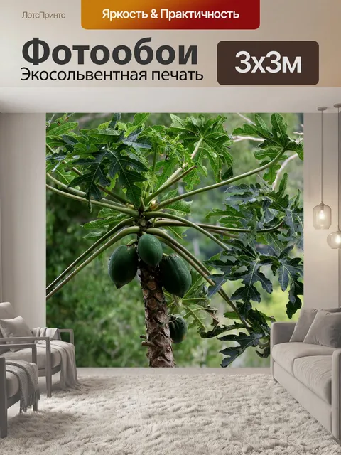 Фотообои Папайя