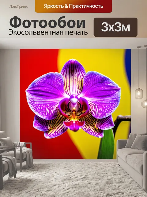 Фотообои орхидея с яркими и контрастными цветами на фоне абстрактного искусства