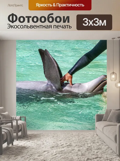 Фотообои Щекотать дельфина