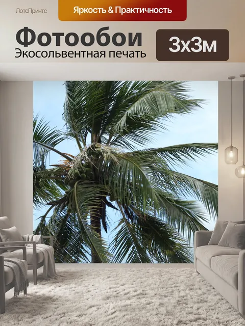 Фотообои Дерево пальмы