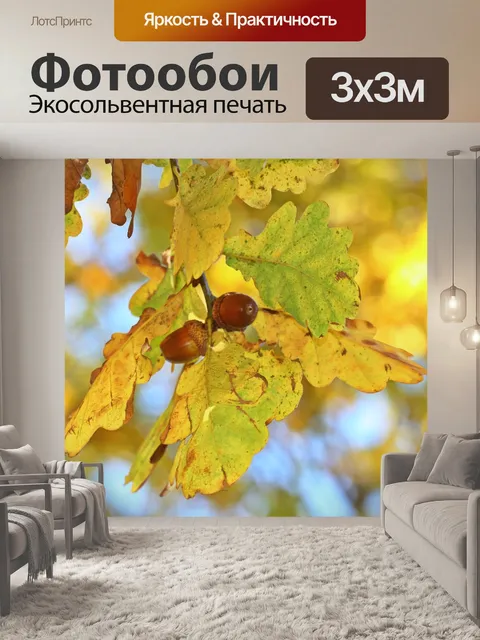 Фотообои Осенние листья