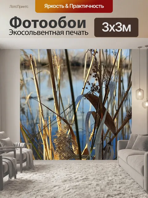 Фотообои Камаргские камыши крупным планом.