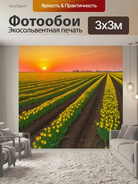 Фотообои тюльпаны в полевом ландшафте на закате