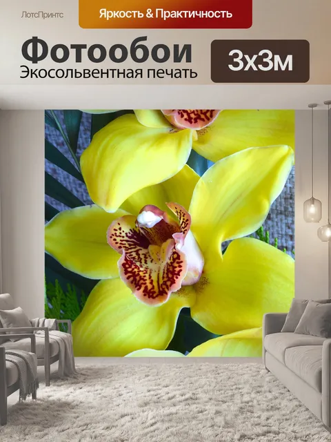 Фотообои Орхидеи