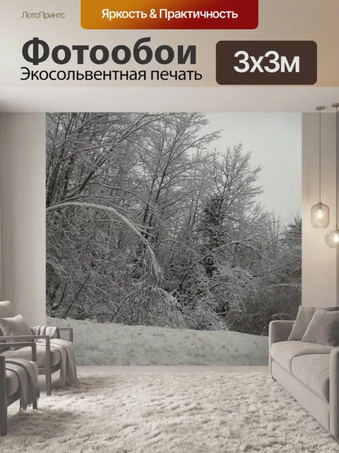 Фотообои деревья, покрытые снегом