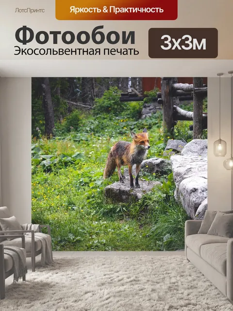 Фотообои Fox