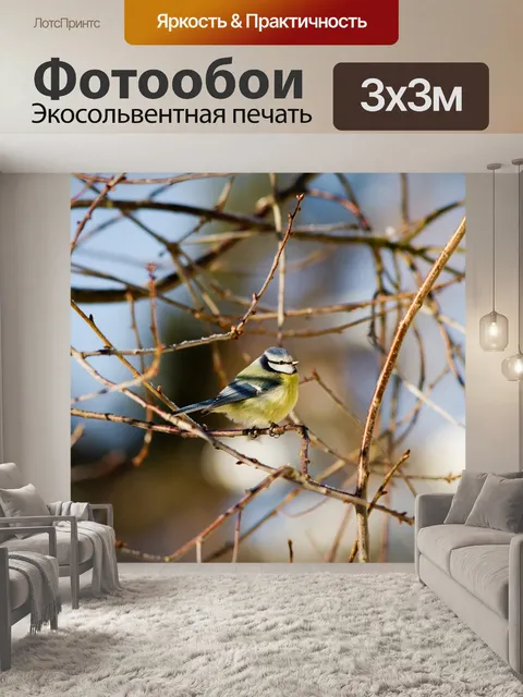 Фотообои Птица