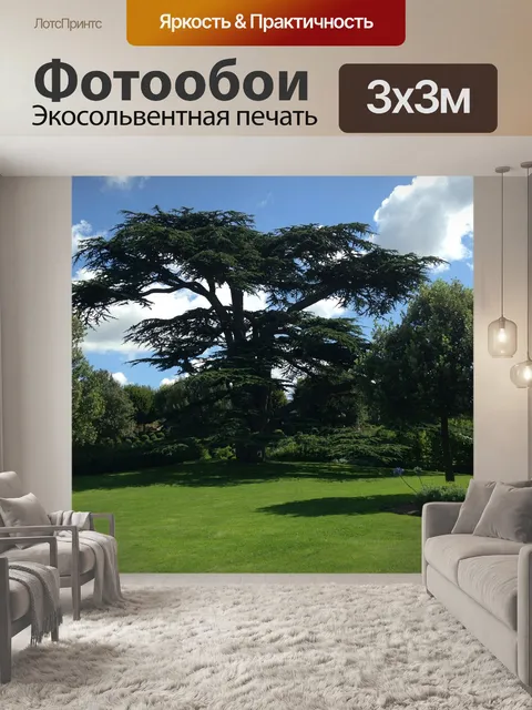 Фотообои Дерево