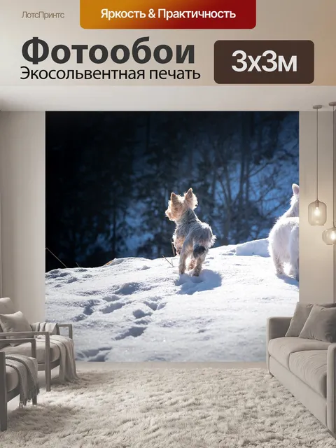 Фотообои Собаки