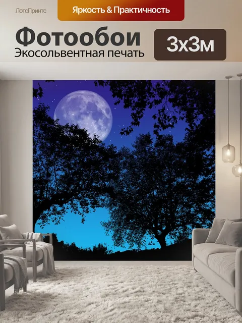 Фотообои Ночь