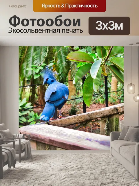 Фотообои Птица
