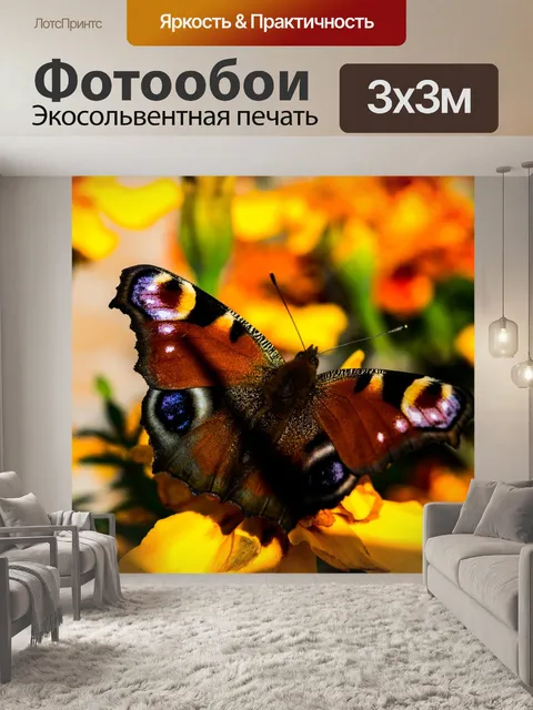 Фотообои Бабочка