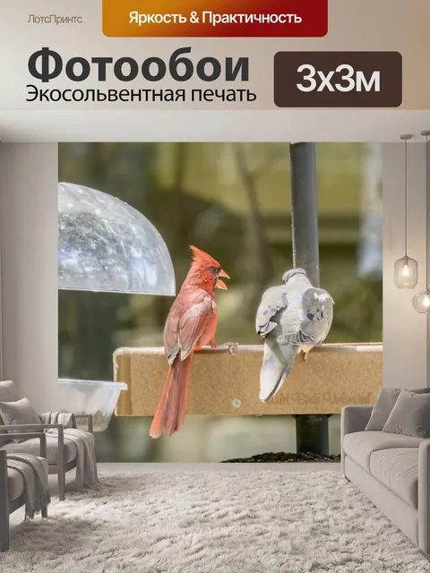 Фотообои Драка едой