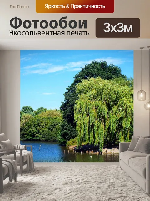 Фотообои Парк