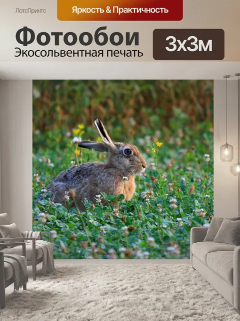 Фотообои Природа