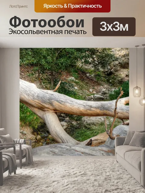 Фотообои Падшее дерево
