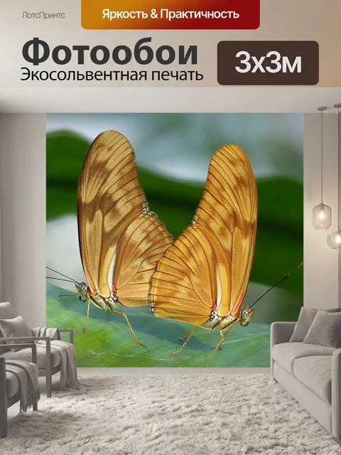 Фотообои Бабочки