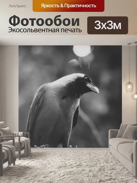 Фотообои Птица