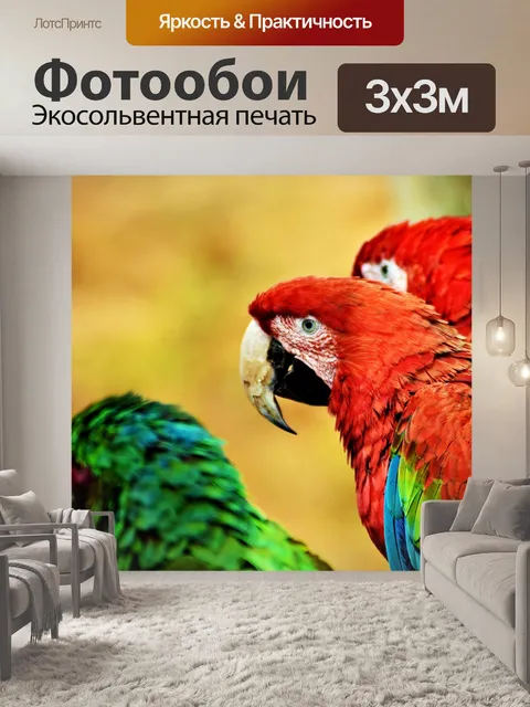 Фотообои Птица