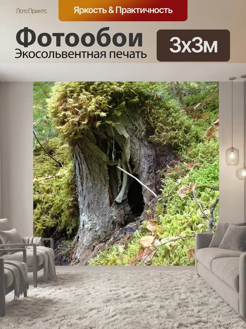 Фотообои Пень