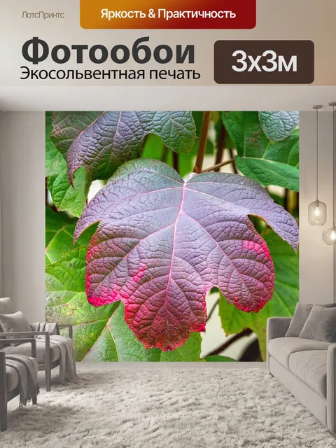 Фотообои Лист