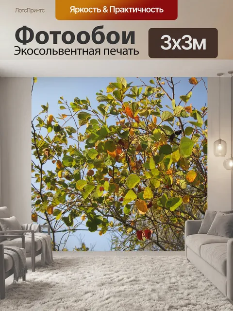 Фотообои Мыс гордость против неба