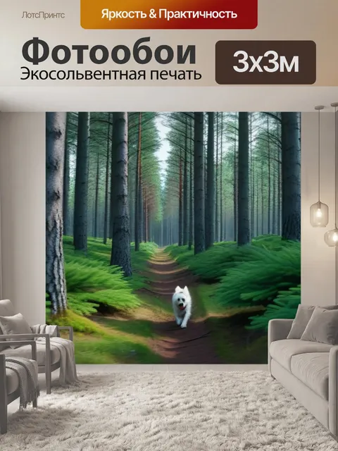 Фотообои прогулка по еловому лесу с собакой