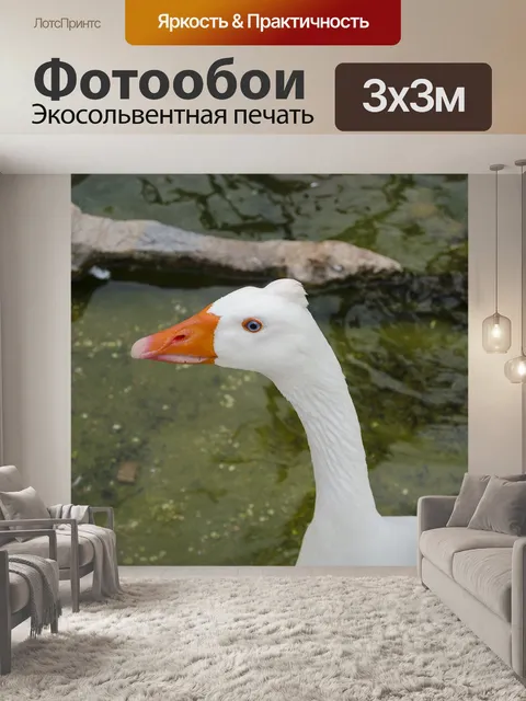 Фотообои Животное