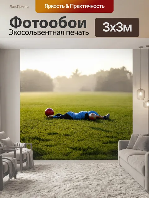 Фотообои петанк, лежащий на поле с высокой травой, в misty утреннем свете, в стиле minimalism, с акцентом на формах и…