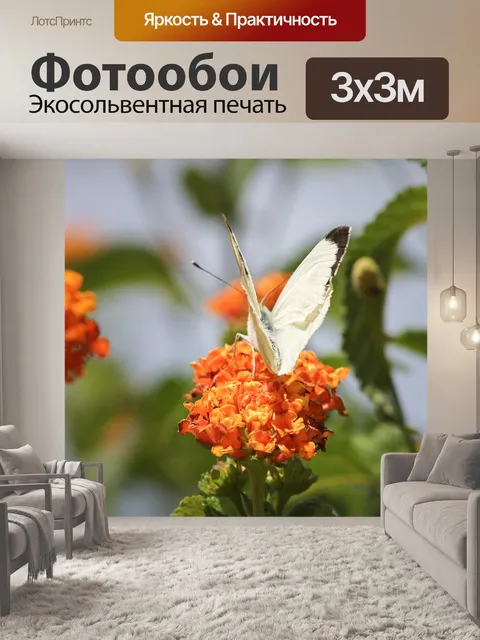 Фотообои Белый