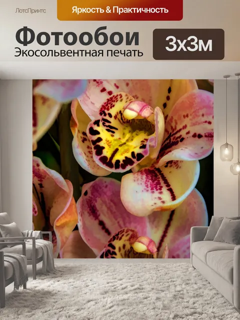 Фотообои Орхидеи