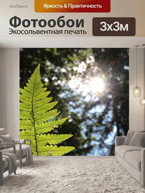 Фотообои Солнце