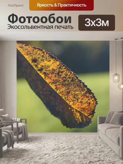 Фотообои Лист