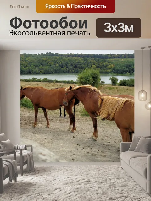 Фотообои Лошади