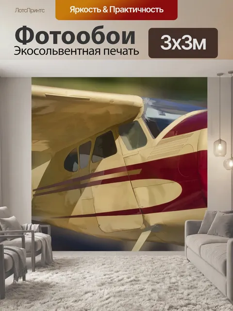 Фотообои Cessna 172 Skyhawk