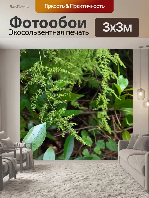 Фотообои разнообразная зеленая растительность в л