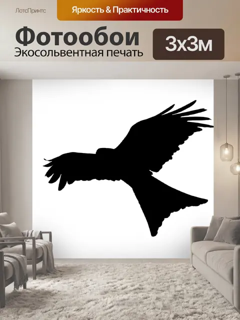 Фотообои Птица Силуэт Летающий