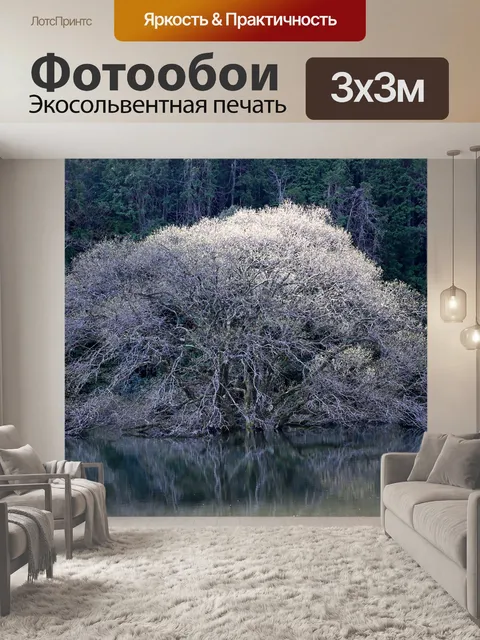 Фотообои Озеро