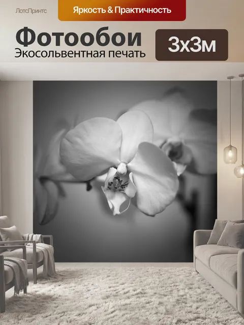 Фотообои Цветок