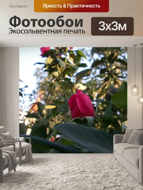 Фотообои Бутон розы