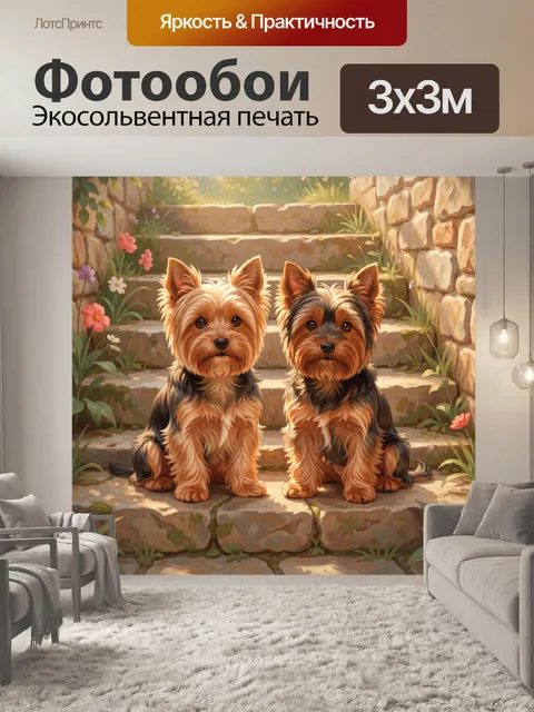 Фотообои Два йорка на каменной дорожке