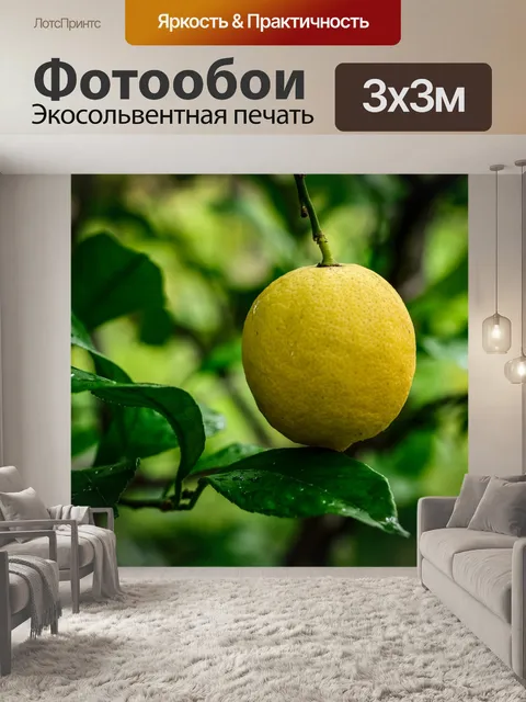 Фотообои Лимон
