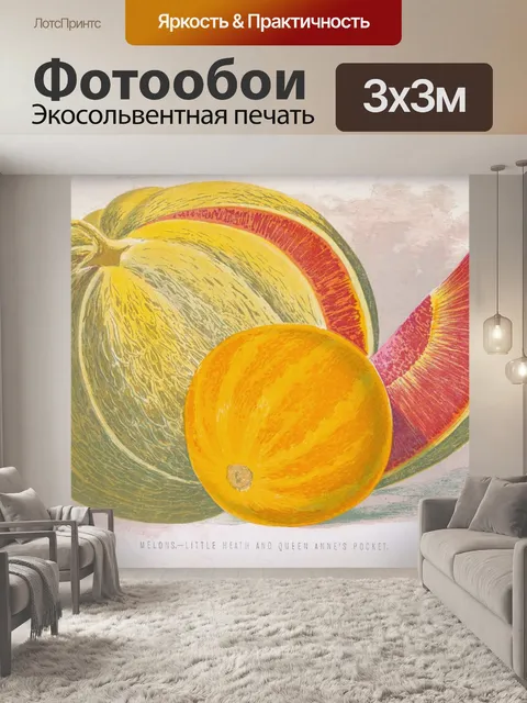 Фотообои Каталог винтажных семян