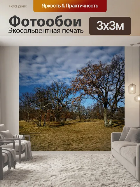 Фотообои Деревья