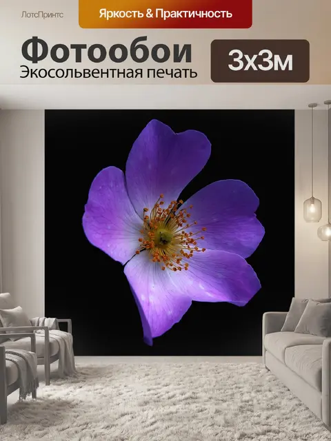 Фотообои Цветы