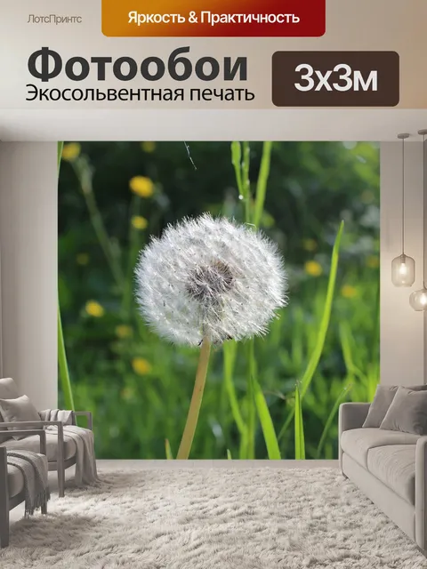 Фотообои Пух
