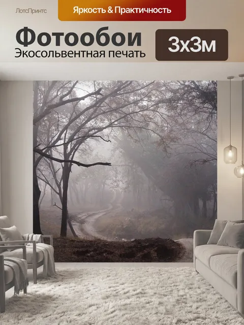 Фотообои Грязная дорога